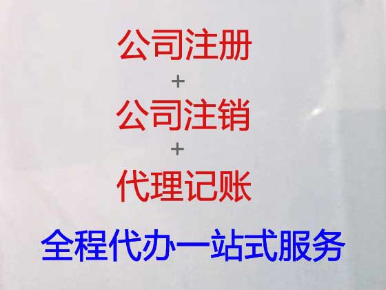 南京专业公司注册办理,代办代理注册合伙企业有限公司,代办专利注册